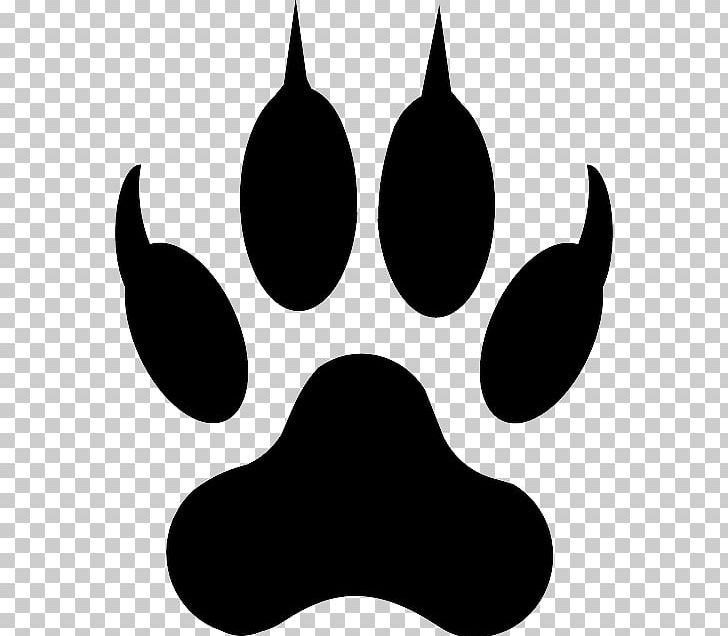 Gray Wolf Paw Cat Tiger PNG, Clipart, Animal Track, Bear, Black, Black And White, Canidae Free PNG Download