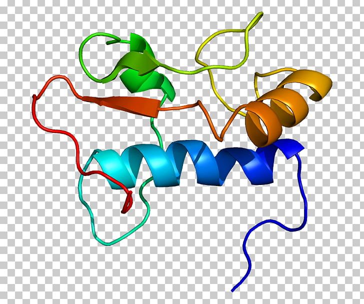 GTF2I General Transcription Factor Genome Protein PNG, Clipart, Animal Figure, Area, Artwork, Dna Annotation, Gene Free PNG Download