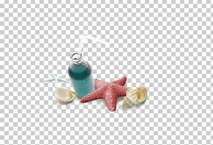 Beach PNG, Clipart, Animals, Beach, Beach Elements, Beautiful Starfish, Body Jewelry Free PNG Download