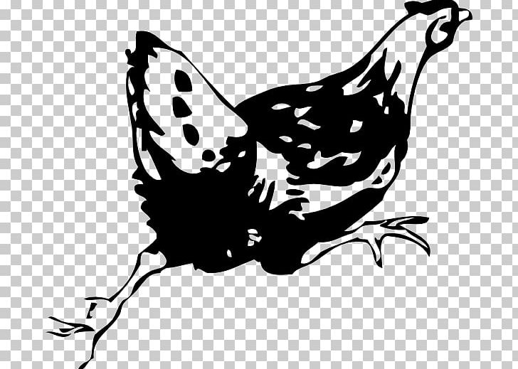 Chicken Hen Rooster PNG, Clipart, Animals, Art, Artwork, Beak, Bird Free PNG Download