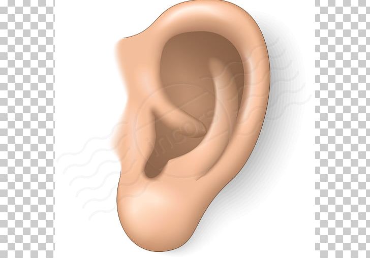 Ear Free Content Blog PNG, Clipart, Animation, Arm, Blog, Chin, Computer Free PNG Download