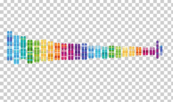 Human Genome Project 23andMe Genetic Testing Genetics Genetic Genealogy PNG, Clipart, 23andme, Adam Mckay, Anne Wojcicki, Body Jewelry, Brca1 Free PNG Download