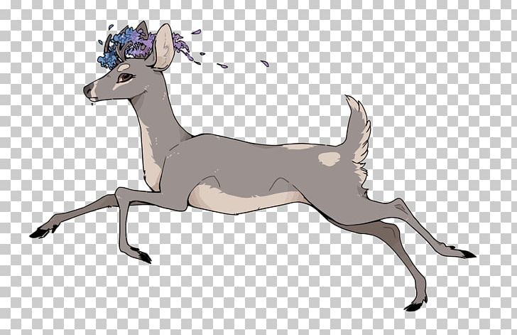 Italian Greyhound Reindeer PNG, Clipart, Animals, Athletics Running, Cartoon, Christmas Deer, Deer Free PNG Download