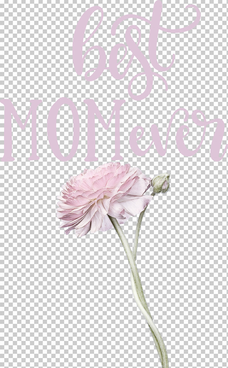 Mothers Day Best Mom Ever Mothers Day Quote PNG, Clipart, Babysbreath, Best Mom Ever, Cricut, Cut Flowers, Floral Design Free PNG Download