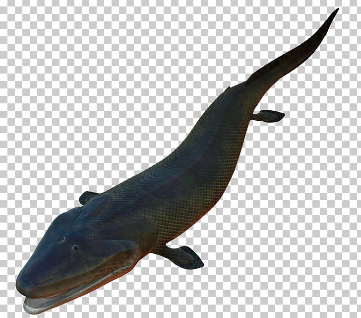 Late Devonian Extinction Amphibian Tiktaalik Evolution Sarcopterygii PNG, Clipart, Amphibian, Animals, Devonian, Evolution, Extinction Free PNG Download