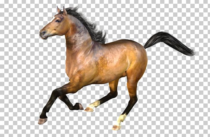 Mustang Stallion Rendering Mare Pony PNG, Clipart, Animal Figure, Bit, Bridle, Halter, Horse Free PNG Download