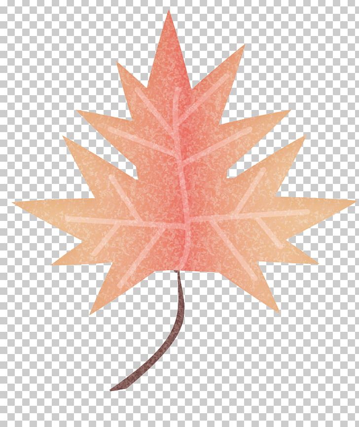 Maple Leaf Symmetry PNG, Clipart, Argue, Leaf, Maple, Maple Leaf, Plant Free PNG Download