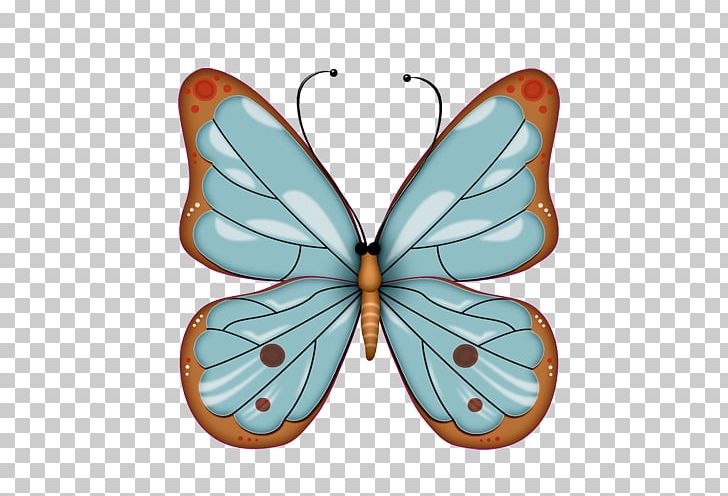 Monarch Butterfly PNG, Clipart, Blue Butterfly, Brush Footed Butterfly, Butterflies, Butterfly Group, Cartoon Free PNG Download
