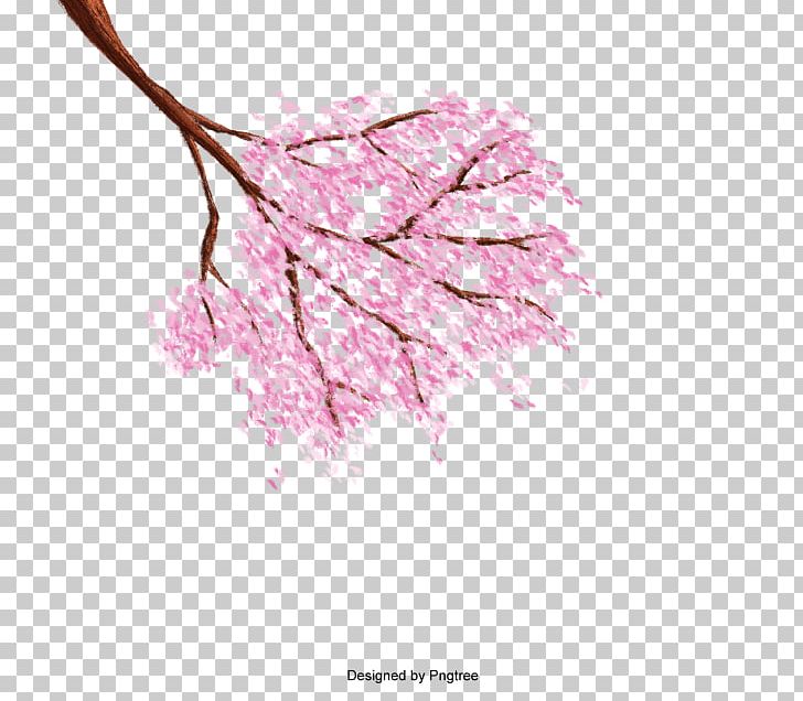 Cherry Blossom Resource PNG, Clipart, Blossom, Cerasus, Cherry Blossom, Computer Icons, Download Free PNG Download