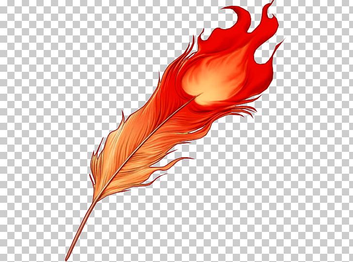 phoenix drawing in color