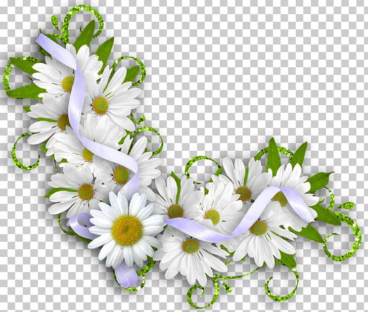 Flower Photography PNG, Clipart, Animation, Art, Birthday, Clip Art, Common Daisy Free PNG Download