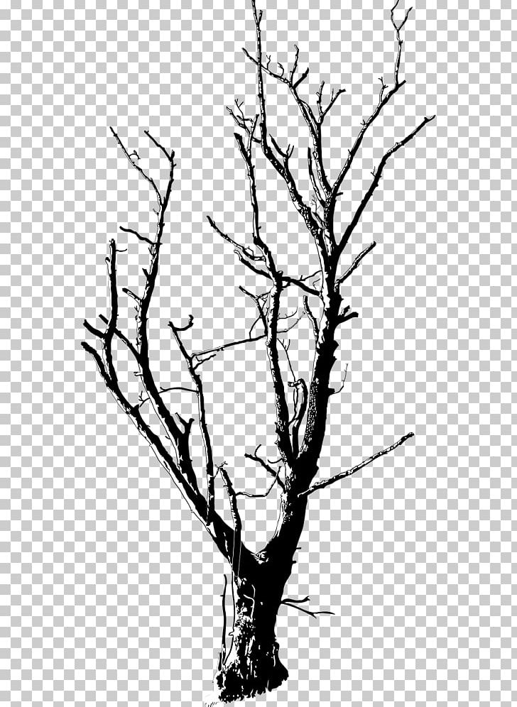 Portable Network Graphics Graphics Drawing Branch PNG, Clipart, Artwork, Black And White, Branch, Computer Icons, Download Free PNG Download