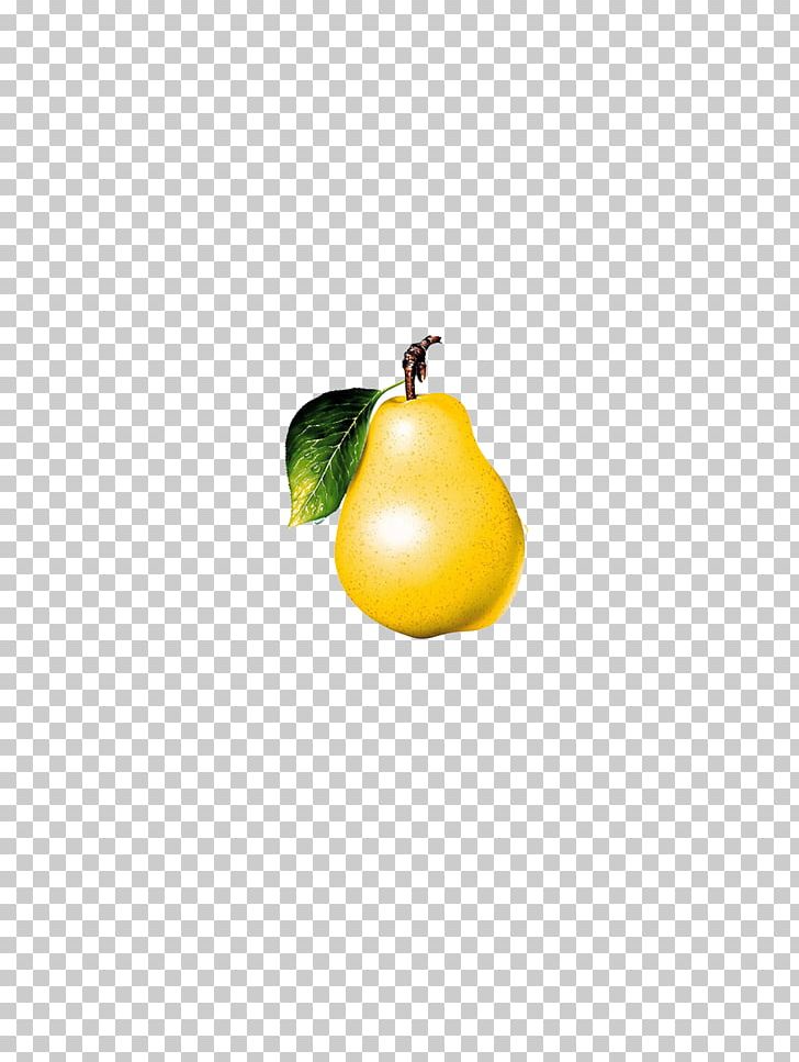 Pyrus Xd7 Bretschneideri Lemon PNG, Clipart, Adobe Illustrator, Citrus, Download, Encapsulated Postscript, Food Free PNG Download
