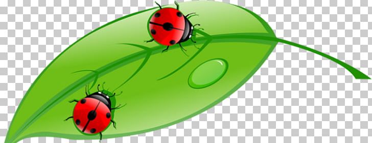 Stock Illustration Illustration PNG, Clipart, Beetle, Can Stock Photo, Cute Ladybug, Drawing, Encapsulated Postscript Free PNG Download