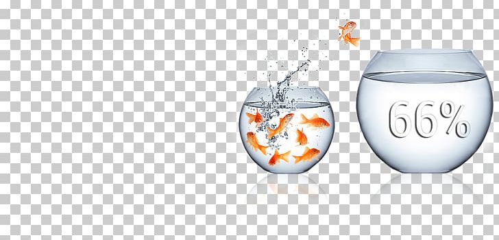 Water Stock Photography Management PNG, Clipart, Computer Wallpaper, Consultant, Depositphotos, Fish, Foreign Currency Free PNG Download