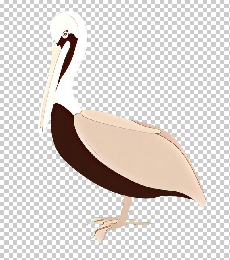Bird Pelican Beak Flightless Bird Ibis PNG, Clipart, Beak, Bird, Ciconiiformes, Flightless Bird, Ibis Free PNG Download