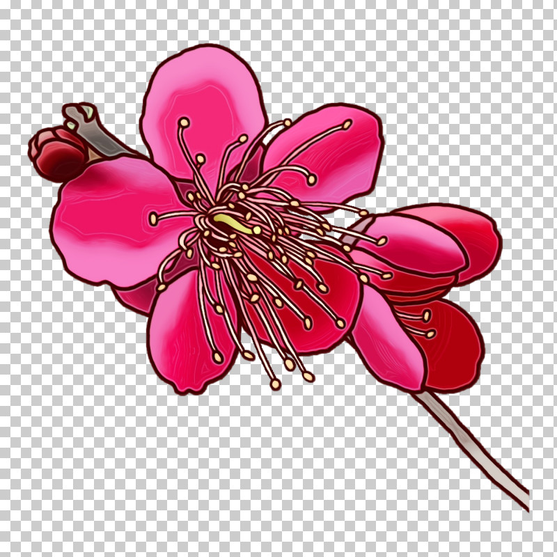 Floral Design PNG, Clipart, Blossom, Cherry, Cherry Blossom, Cut Flowers, Floral Design Free PNG Download