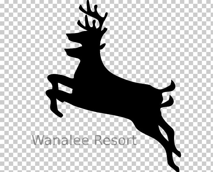 Deer Antler Art PNG, Clipart, Animals, Antler, Art, Black And White, Computer Icons Free PNG Download