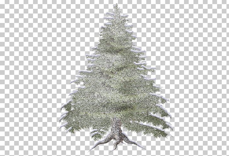 Spruce Forest Tree PNG, Clipart, Branch, Christmas Decoration, Christmas Ornament, Christmas Tree, Collage Free PNG Download
