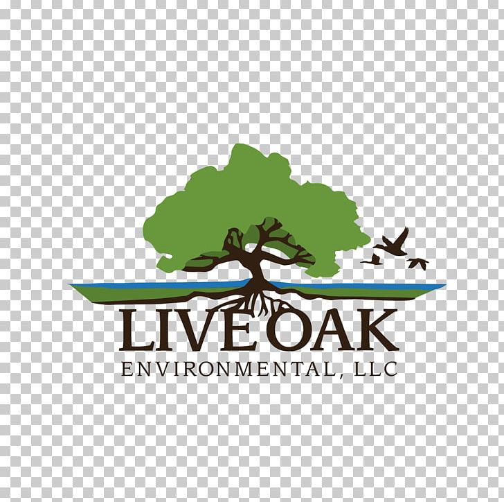 Live Oak Environmental Commercial Waste Waste Management Landfill PNG, Clipart, Bossy, Brand, Business, Commercial Waste, Dumpster Free PNG Download