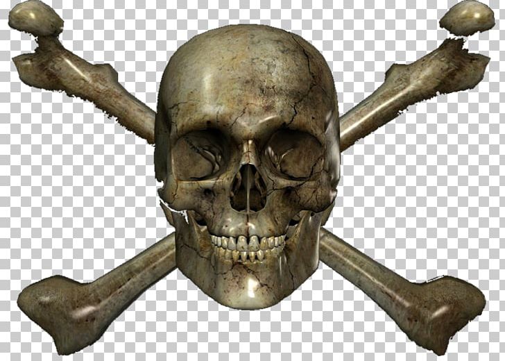 Skull Skeleton PNG, Clipart, Bone, Fantasy, Jaw, Sixth Sense, Skeleton Free PNG Download