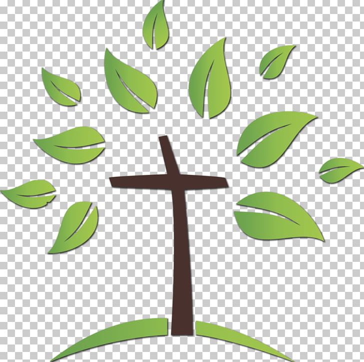 Southside Church Graphic Design PNG, Clipart, Acuatic Plants, Branch, Concept, Flower, Graphic Design Free PNG Download