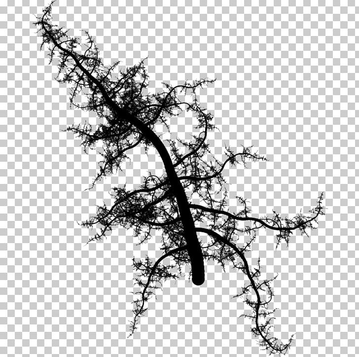 System Root Scientific Modelling Structure Structuralism PNG, Clipart, 3d Modeling, Awed To Heaven Rooted In Earth, Black And White, Branch, Conifer Free PNG Download