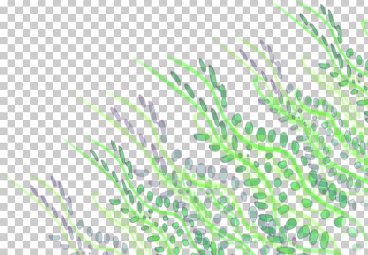 Plant Stem Leaf Grasses Animated Film PNG, Clipart, Animated Film, Branch, Ellen Page, Flora, Grass Free PNG Download