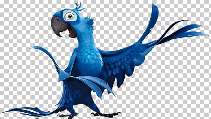 Blue Sky Studios Rio Film PNG, Clipart, Animal Figure, Animation, Beak,  Bird, Blu Free PNG Download