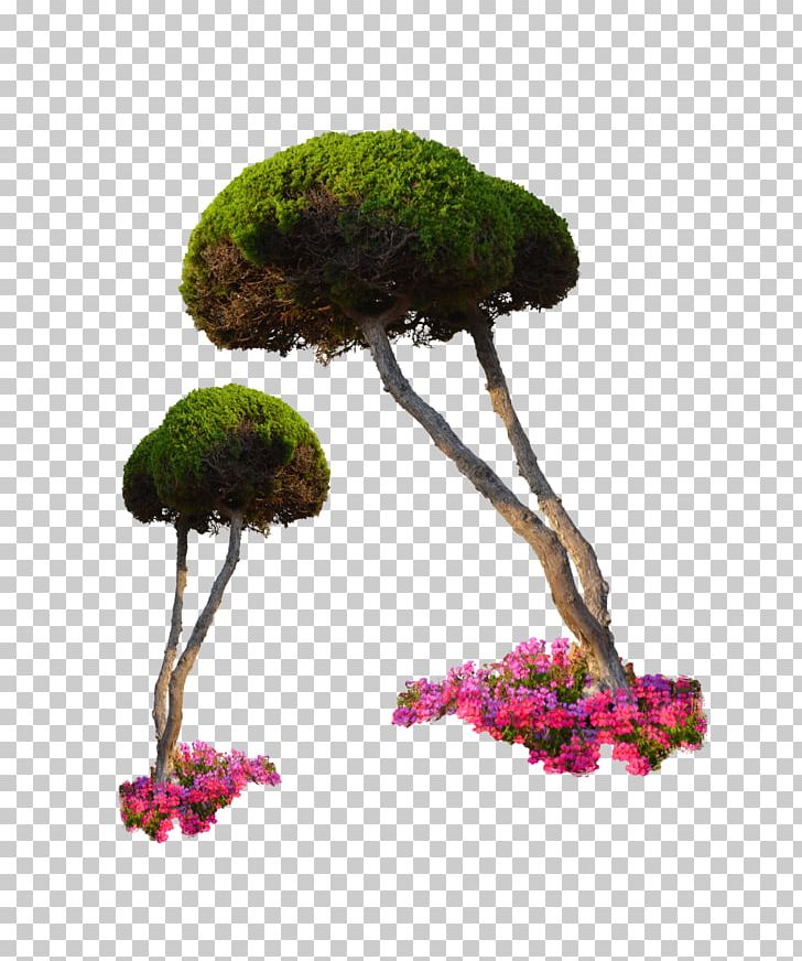 Landscape Plant Architecture Rendering PNG, Clipart, 3d Computer Graphics, Architectural Rendering, Architecture, Ball Tree, Bonsai Free PNG Download