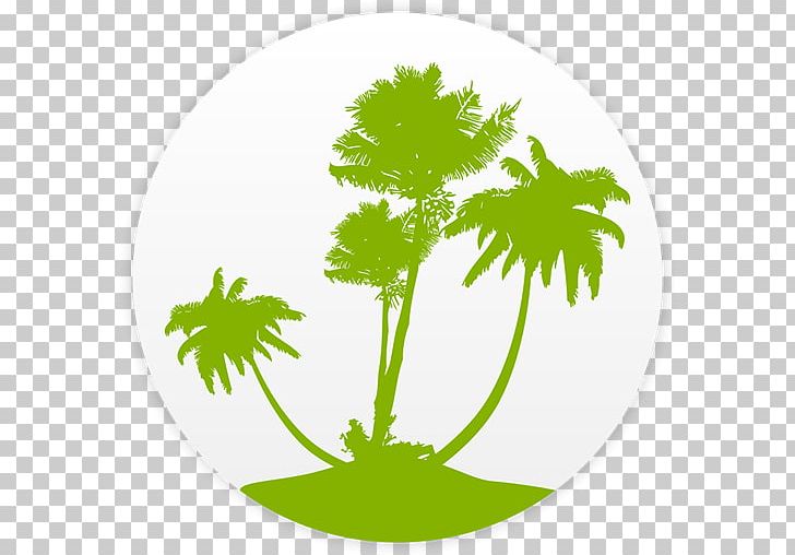 Arecaceae Silhouette PNG, Clipart, Android, Animals, App, Arecaceae, Chamaedorea Elegans Free PNG Download