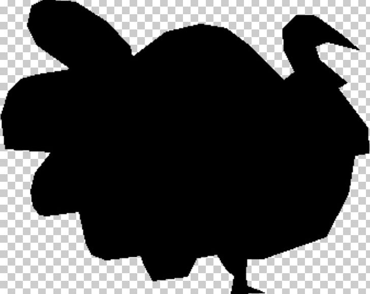 Chicken Goose Bird Cygnini PNG, Clipart, Anatidae, Artwork, Beak, Bird, Black And White Free PNG Download