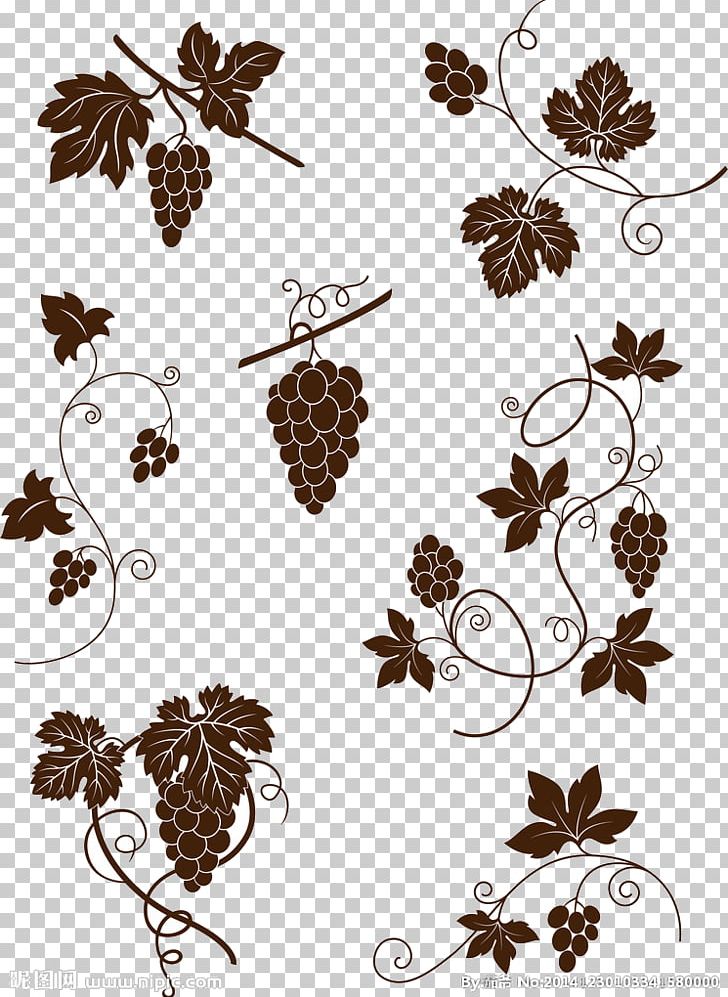 Common Grape Vine Illustration PNG, Clipart, Black, Black Grapes, Branch, Brown, Clip Art Free PNG Download