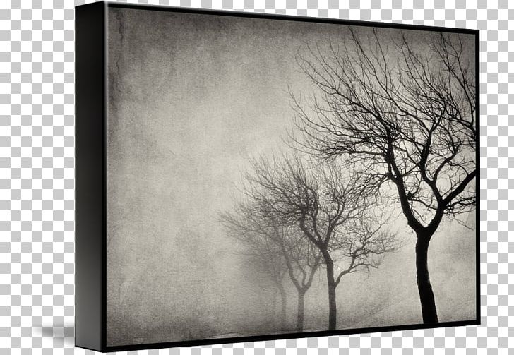 Gallery Wrap Photography Canvas Frames Art PNG, Clipart, Black And White, Branch, Canvas, Early Morning, Gallery Wrap Free PNG Download