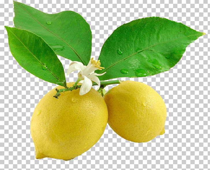 Lemonade Juice Leaf Fruit PNG, Clipart, Bitter Orange, Citric Acid, Citron, Citrus, Food Free PNG Download