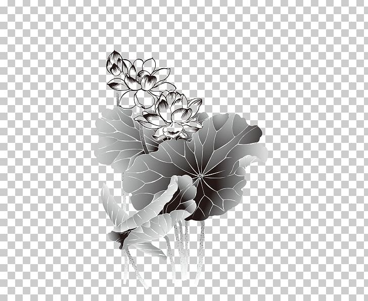 Lotus Nelumbo Nucifera PNG, Clipart, Autumn Leaf, Flower, Green Leaf, Illustrator, Ink Free PNG Download