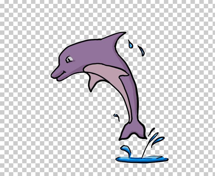 Tucuxi Drawing How To Draw Everything Painting PNG, Clipart, Artwork, Beak, Brush, Cartoon, Common Bottlenose Dolphin Free PNG Download