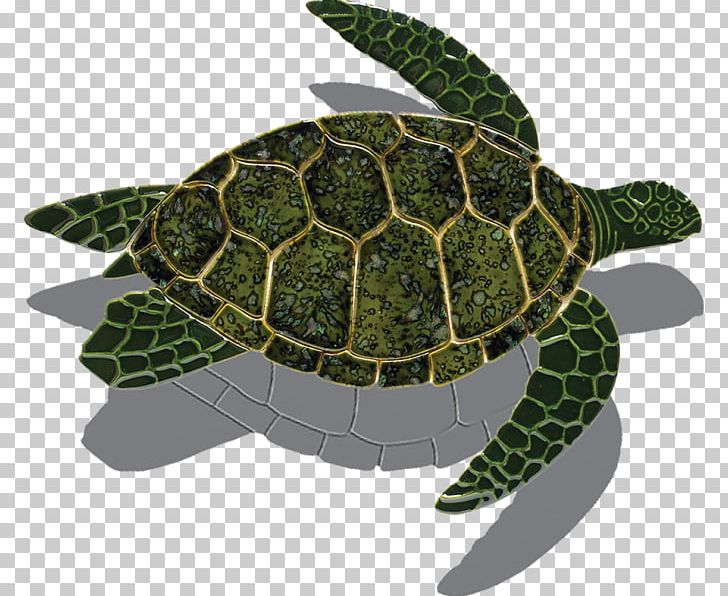 Loggerhead Sea Turtle Tortoise Green Sea Turtle PNG, Clipart, Animals, Backyard, Caretta, Ceramic, Emydidae Free PNG Download