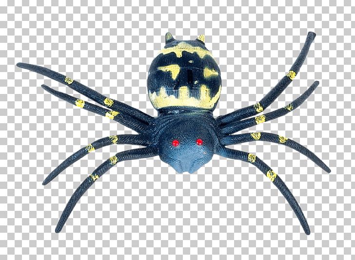 Southern Black Widow Portable Network Graphics Spider Transparency PNG, Clipart, 3d Computer Graphics, Angulate Orbweavers, Arachnid, Araneus, Arthropod Free PNG Download