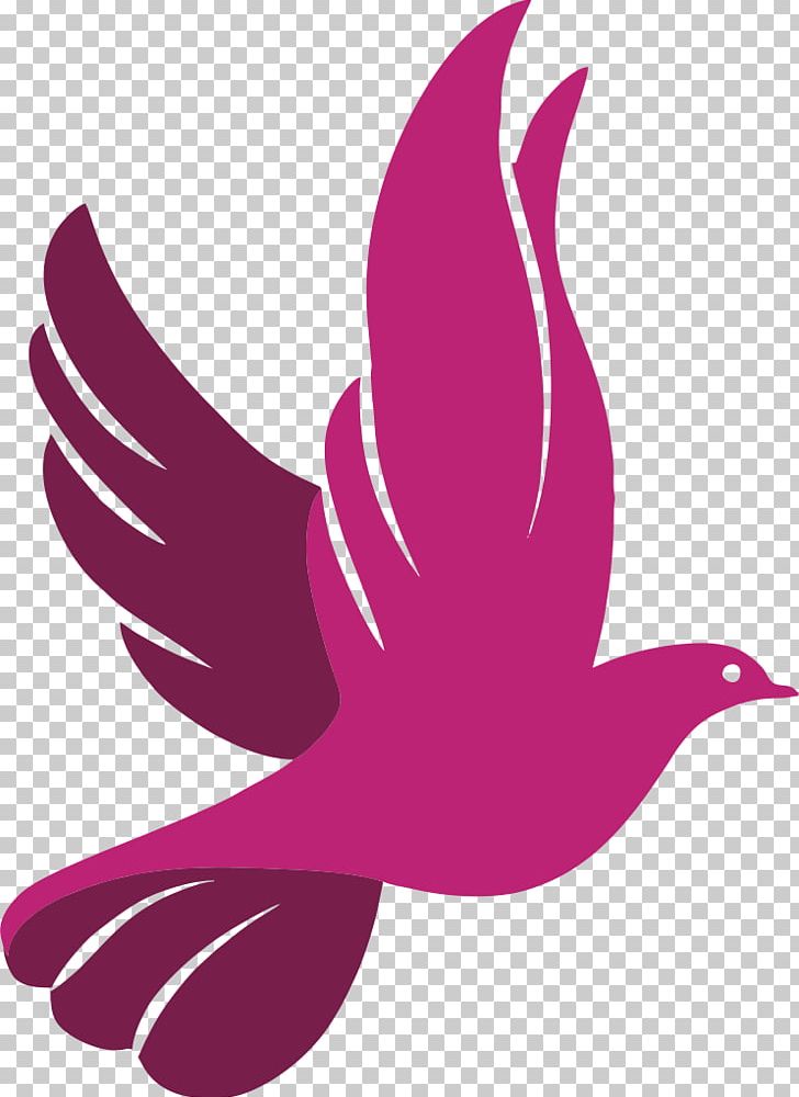 Columbidae Logo Portable Network Graphics Embark Recruitment PNG, Clipart, Ankh, Art, Beak, Beauty, Bird Free PNG Download