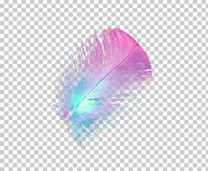 Feather PNG, Clipart, Animals, Desktop Wallpaper, Digital Image, Ease, Encapsulated Postscript Free PNG Download