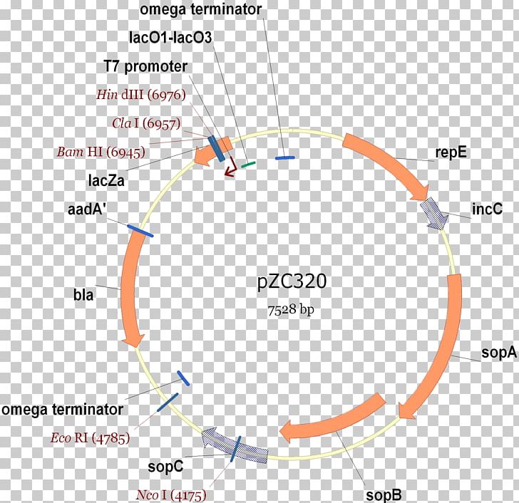 International Genetically Engineered Machine Genetic Engineering Biology Genetics PNG, Clipart, Angle, Area, Bacteria, Biology, Circle Free PNG Download