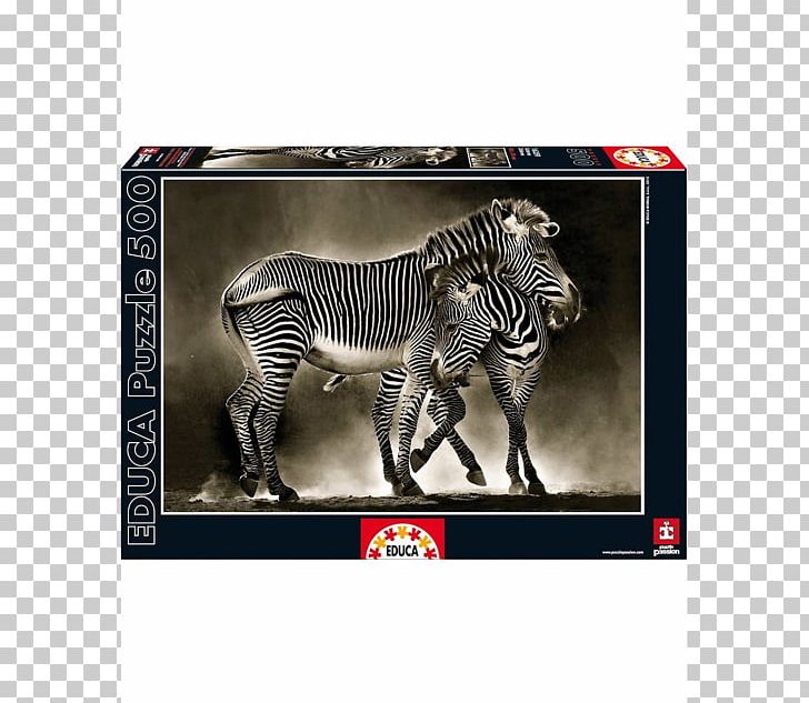 Jigsaw Puzzles Zebra Educa Borràs At The Water Hole PNG, Clipart,  Free PNG Download