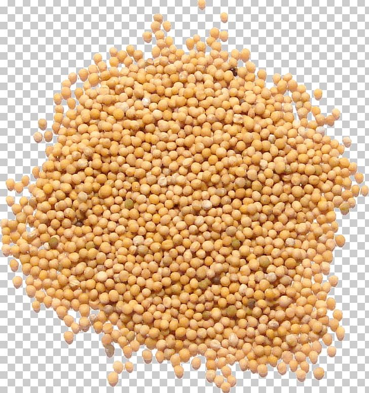 Mustard Seed Mustard Plant White Mustard Mustard Oil PNG, Clipart, Bean, Brassica Juncea, Caraway Seed Cake, Cereal, Cereal Germ Free PNG Download