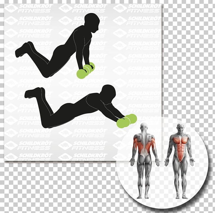 Myofascial Trigger Point Human Body Massage Muscle Therapy PNG, Clipart, Acupressure, Anatomy, Arm, Body, Brand Free PNG Download