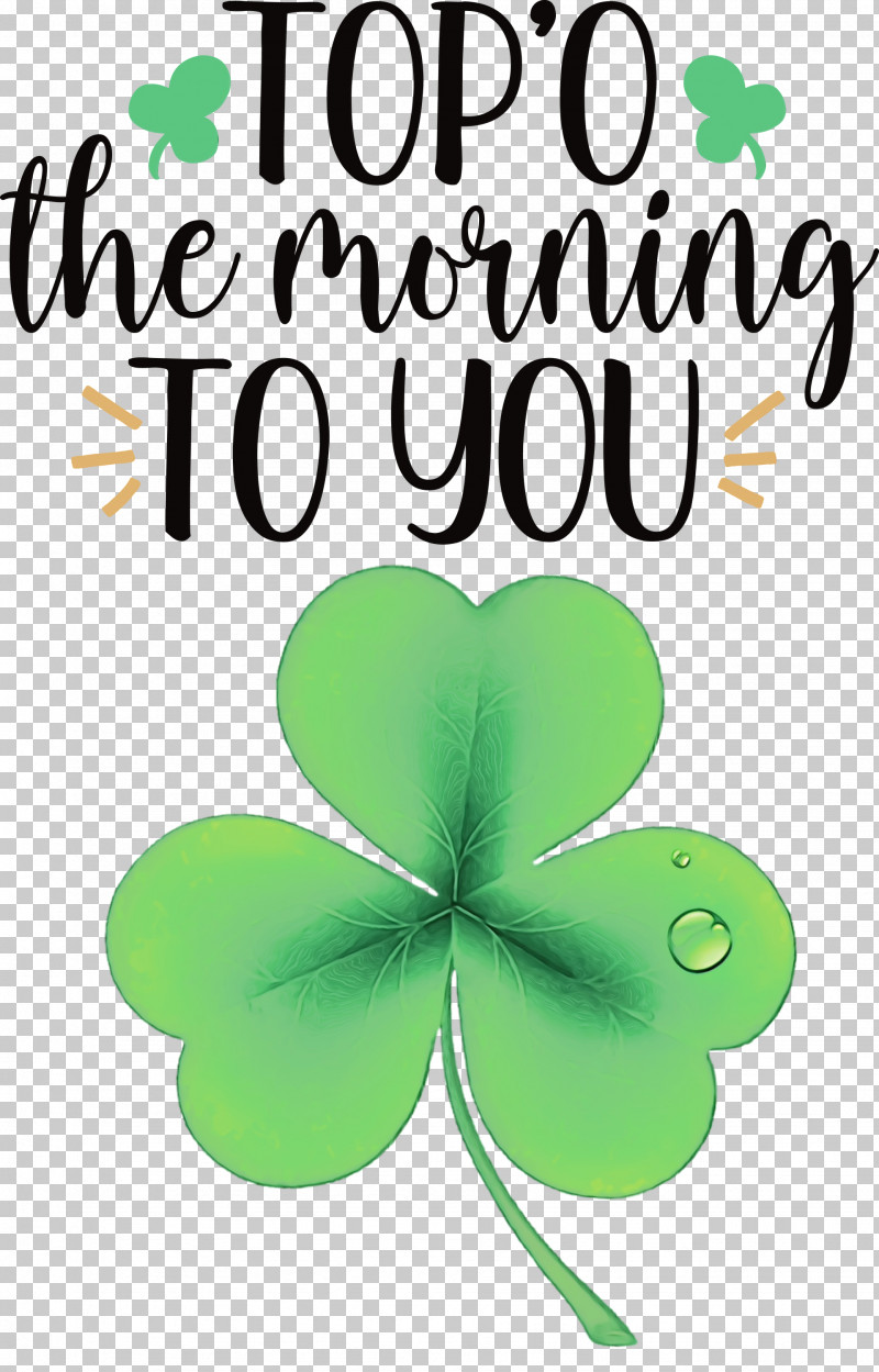 Shamrock PNG, Clipart, Biology, Flower, Green, Leaf, Meter Free PNG Download