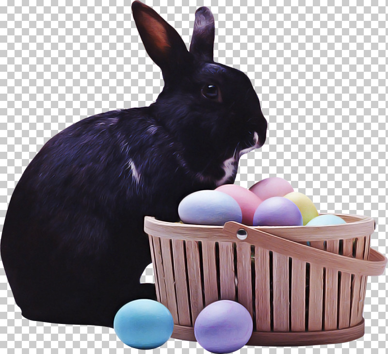 Easter Bunny PNG, Clipart, Basket, Easter, Easter Bunny, Easter Egg, Hamper Free PNG Download