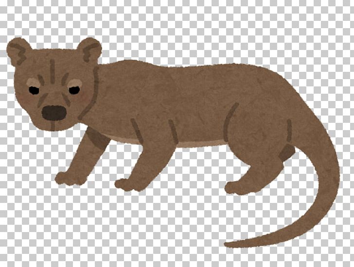 Bear いらすとや Fossa Animal PNG, Clipart, Animal, Animal Figure, Animals, Bear, Big Cat Free PNG Download