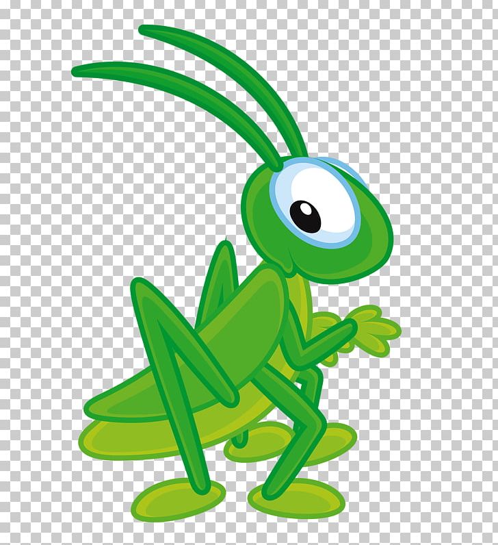 Insect Cricket PNG, Clipart, Amphibian, Bee, Bush Crickets, Cartoon,  Cicadas Free PNG Download