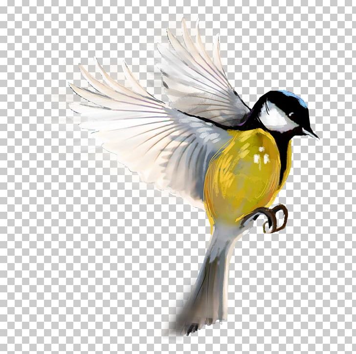PicsArt Photo Studio Bird Editing Photography PNG, Clipart, Android, Animals, Beak, Bird, Camera Free PNG Download